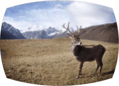 Fisheye effect example