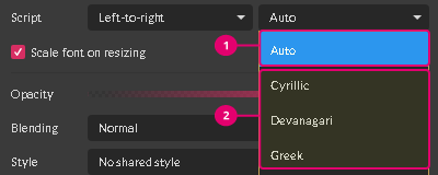 Script section auto and manual
