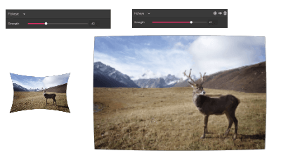 Fisheye strength example