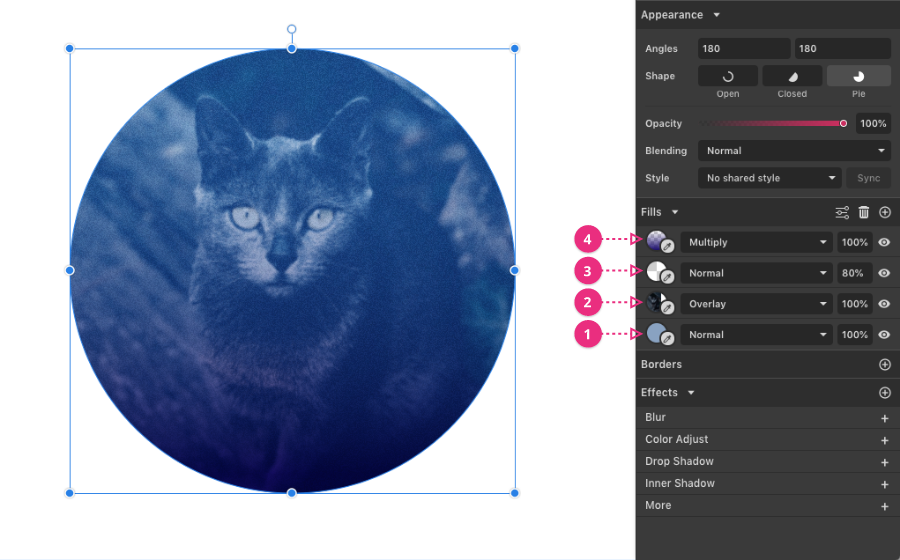 ellipse with multiple fills